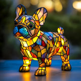 Szarik - Magnifique bulldog français