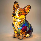 Rocky – Lumière Corgi Éclatante
