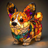 Rocky – Lumière Corgi Éclatante